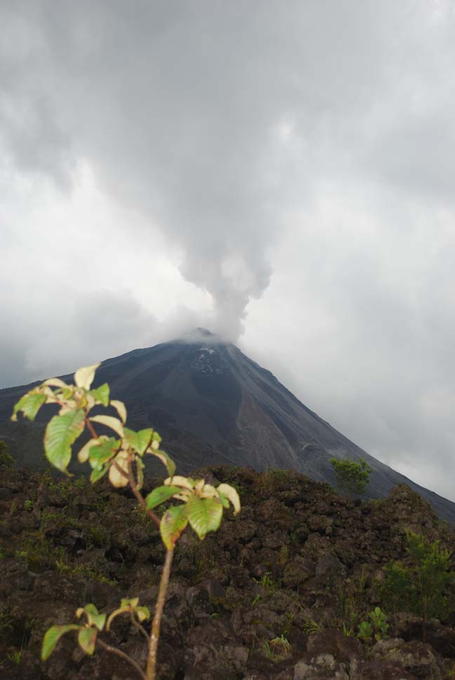 Foto de Alajuela, Costa Rica