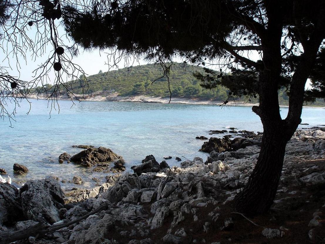 Foto de Korcula, Croacia