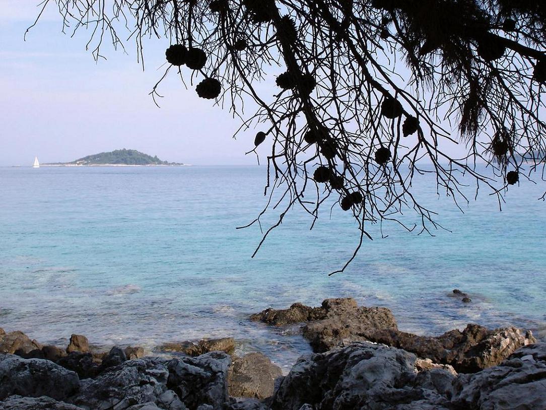 Foto de Korcula, Croacia