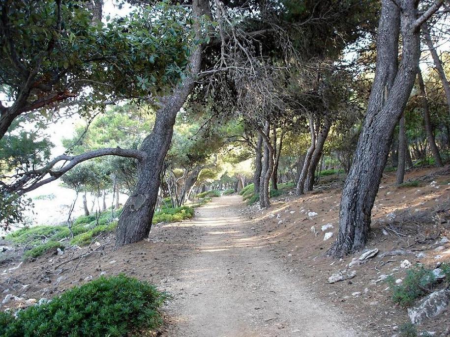 Foto de Korcula, Croacia