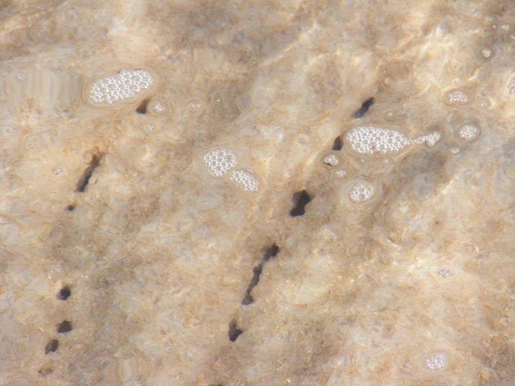 Foto de Ein Gedi, Israel