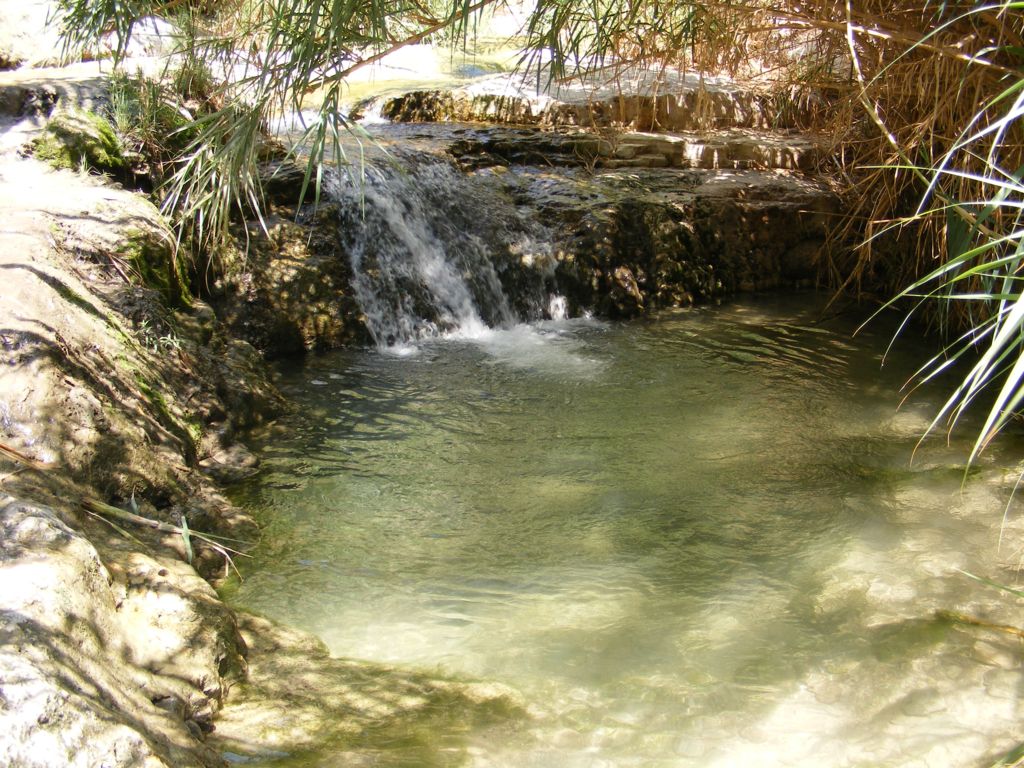 Foto de Ein Gedi, Israel
