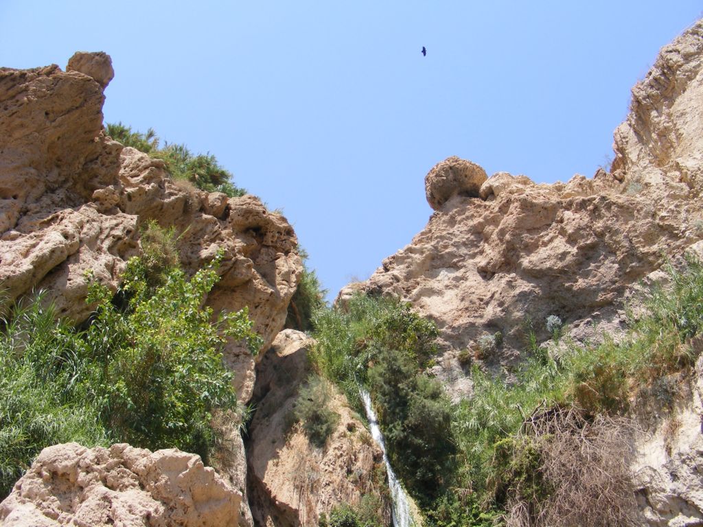 Foto de Ein Gedi, Israel