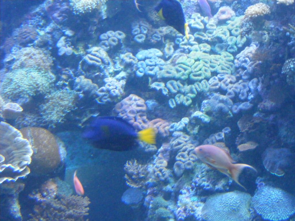 Foto de Eilat, Israel