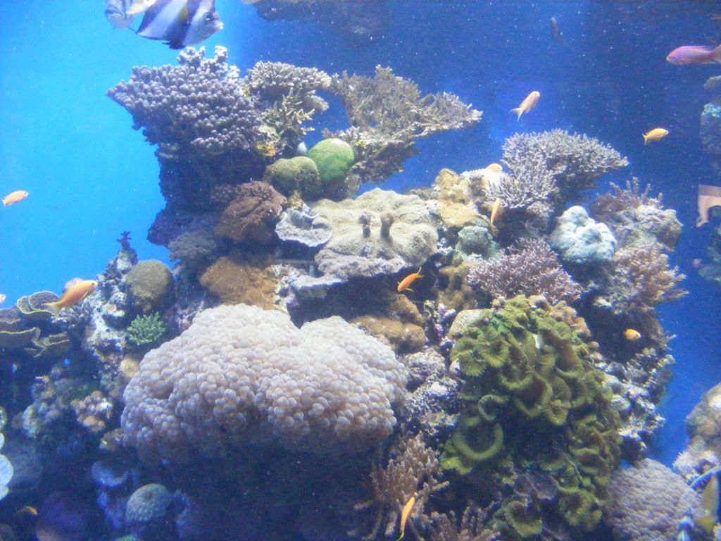 Foto de Eilat, Israel