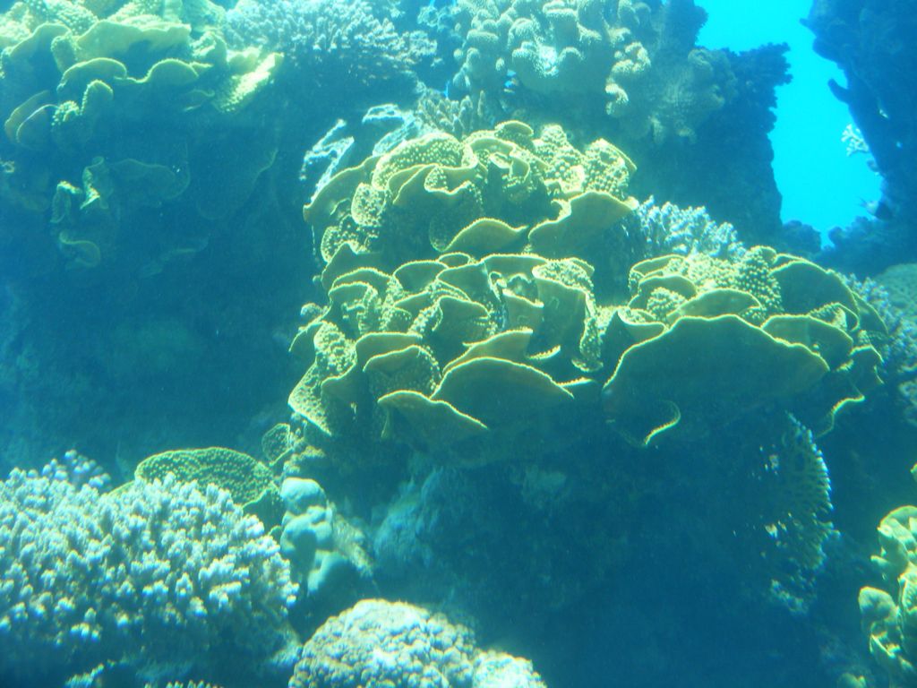 Foto de Eilat, Israel