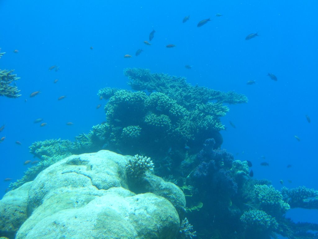 Foto de Eilat, Israel