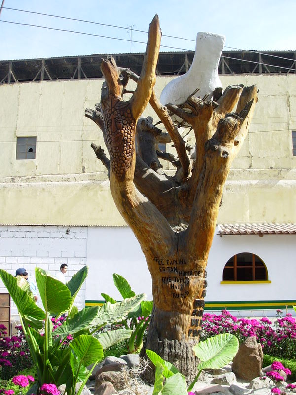 Foto de Tacna, Perú