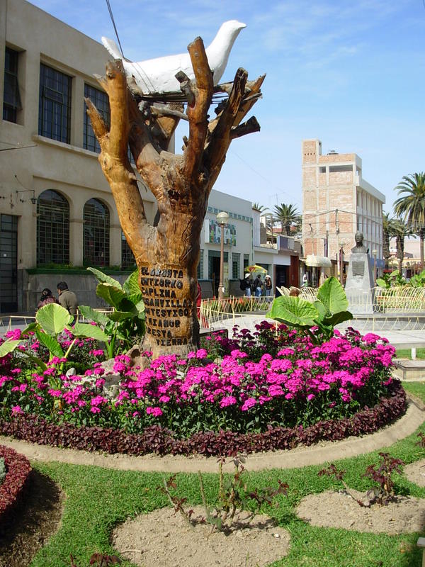 Foto de Tacna, Perú