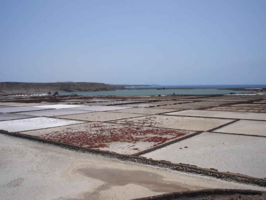 Foto de Lanzarote (Las Palmas), España