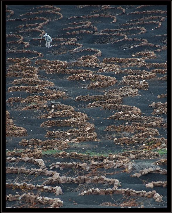 Foto de Lanzarote (Las Palmas), España