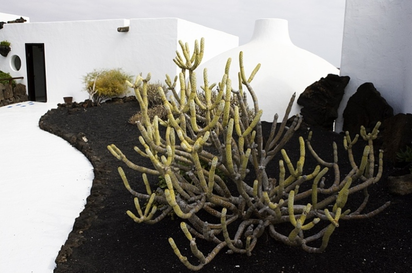 Foto de Lanzarote (Las Palmas), España