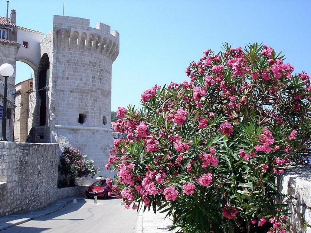 Foto de Korcula, Croacia