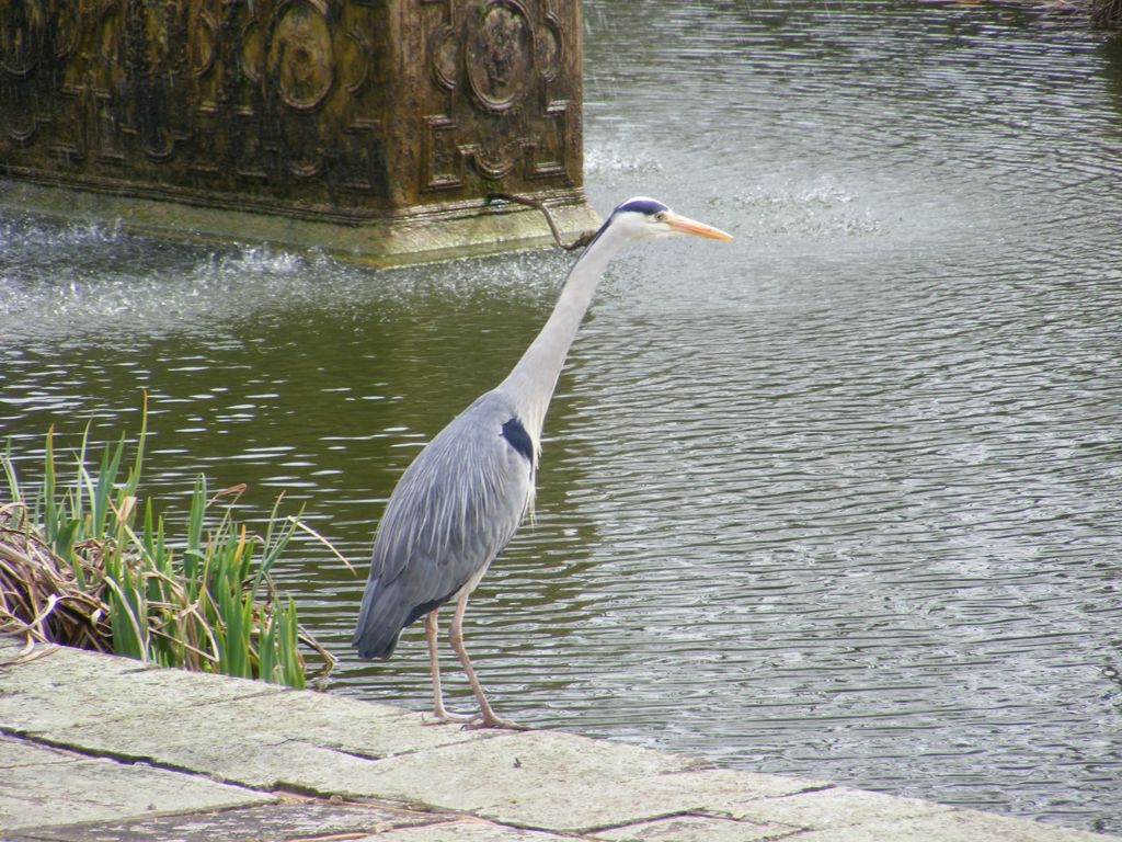 Foto de Londres, El Reino Unido