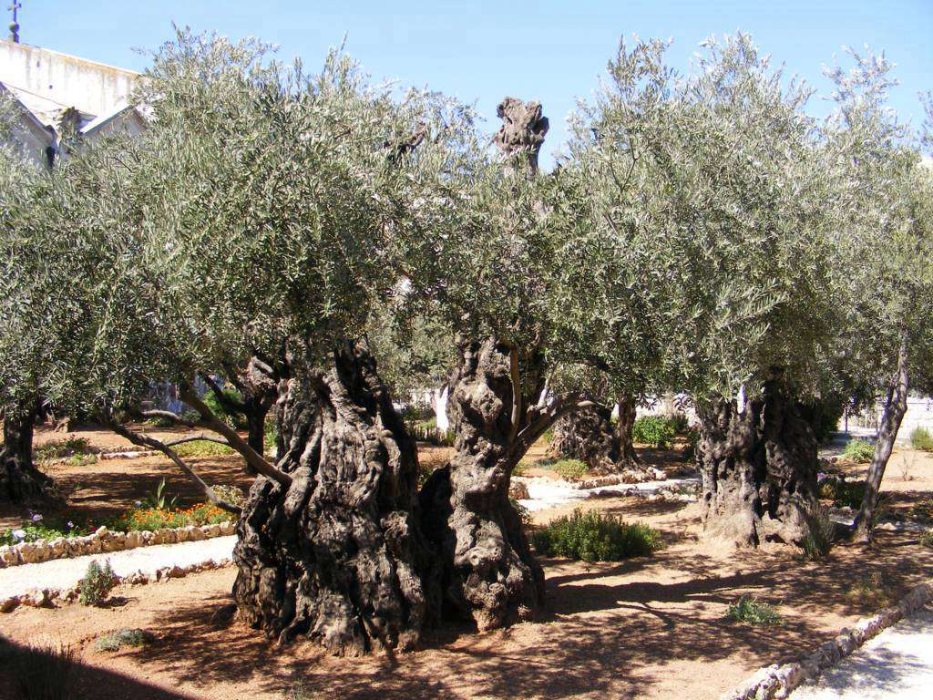 Foto de Jerusalén, Israel