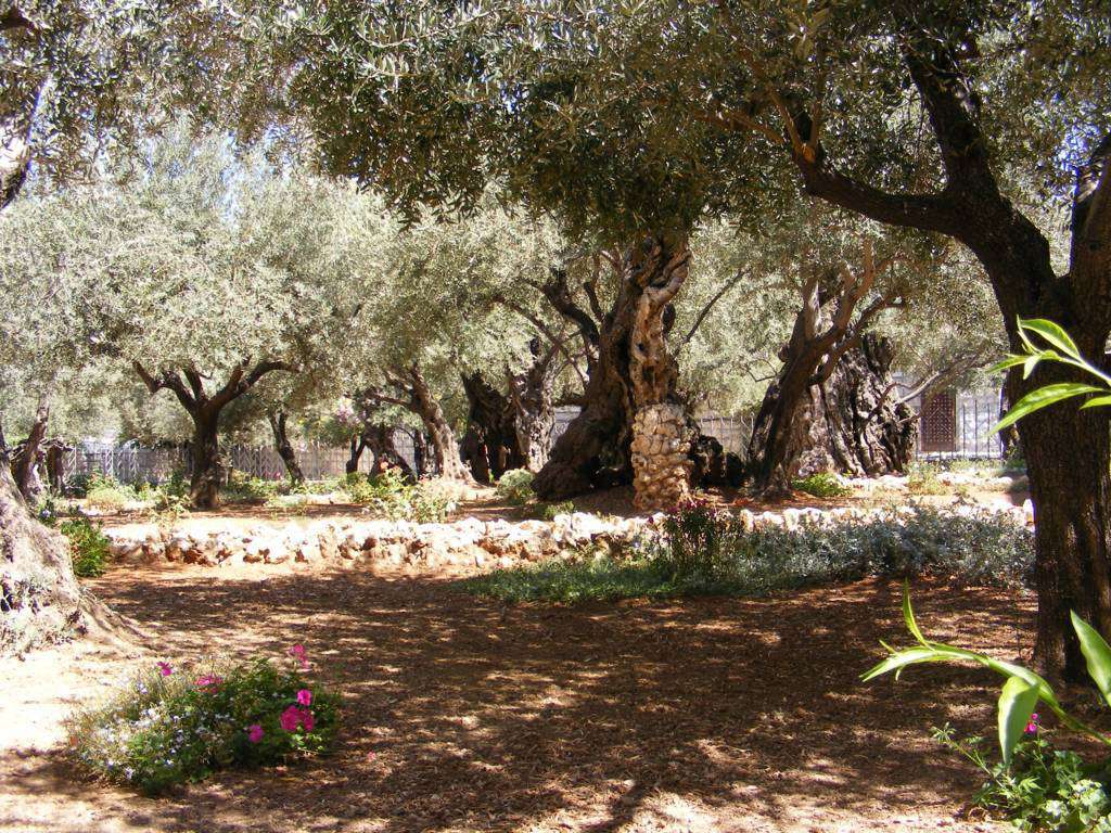 Foto de Jerusalén, Israel