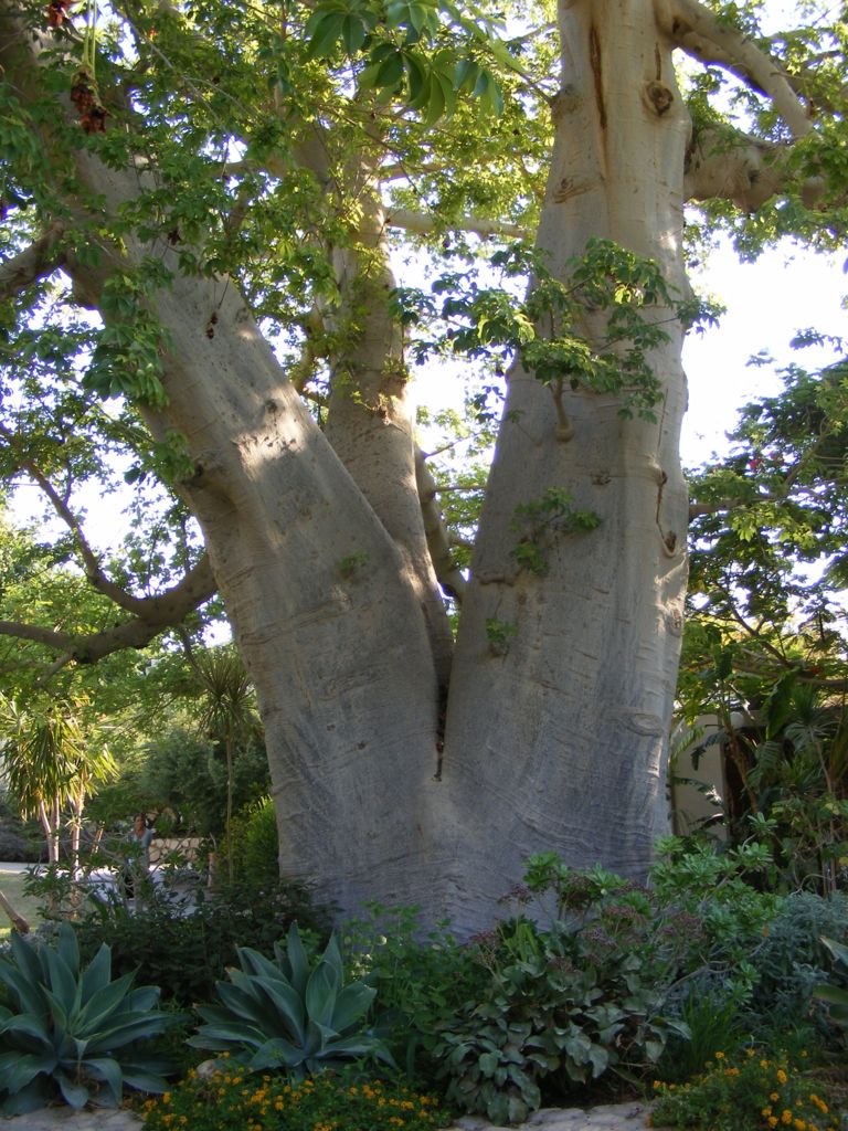 Foto de Ein Gedi, Israel
