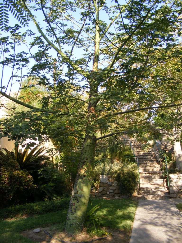 Foto de Ein Gedi, Israel