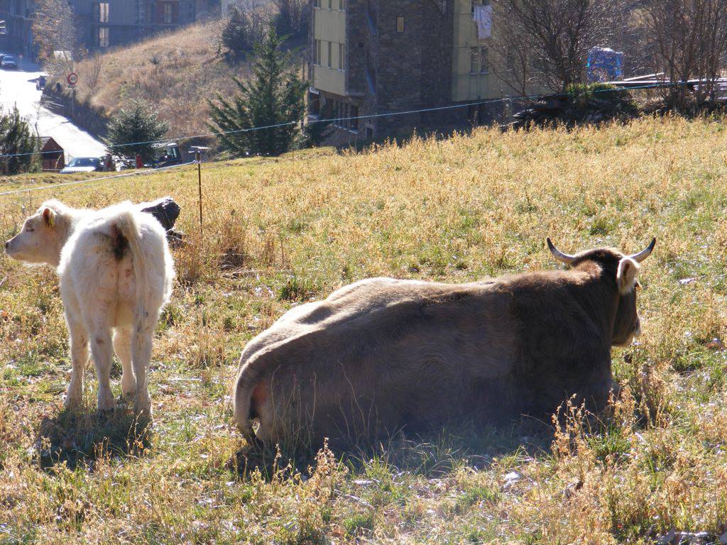 Foto de La Cortinada, Andorra