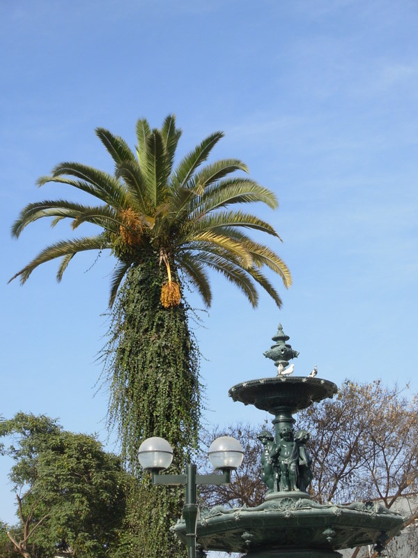 Foto de Tacna, Perú
