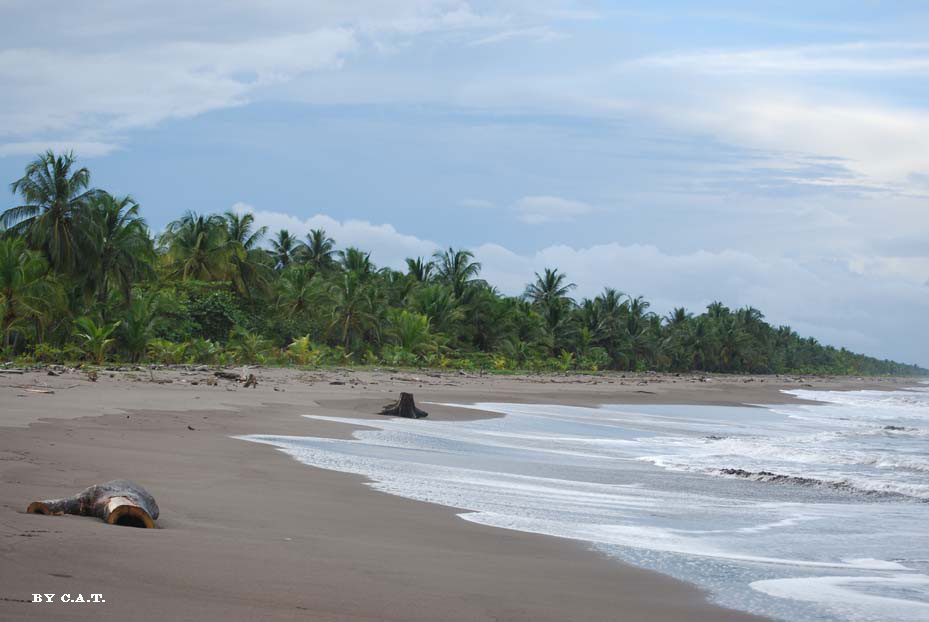 Foto de Limón, Costa Rica