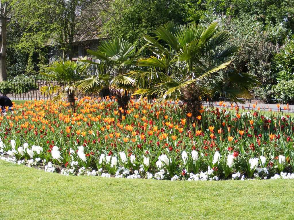 Foto de Dublín, Irlanda