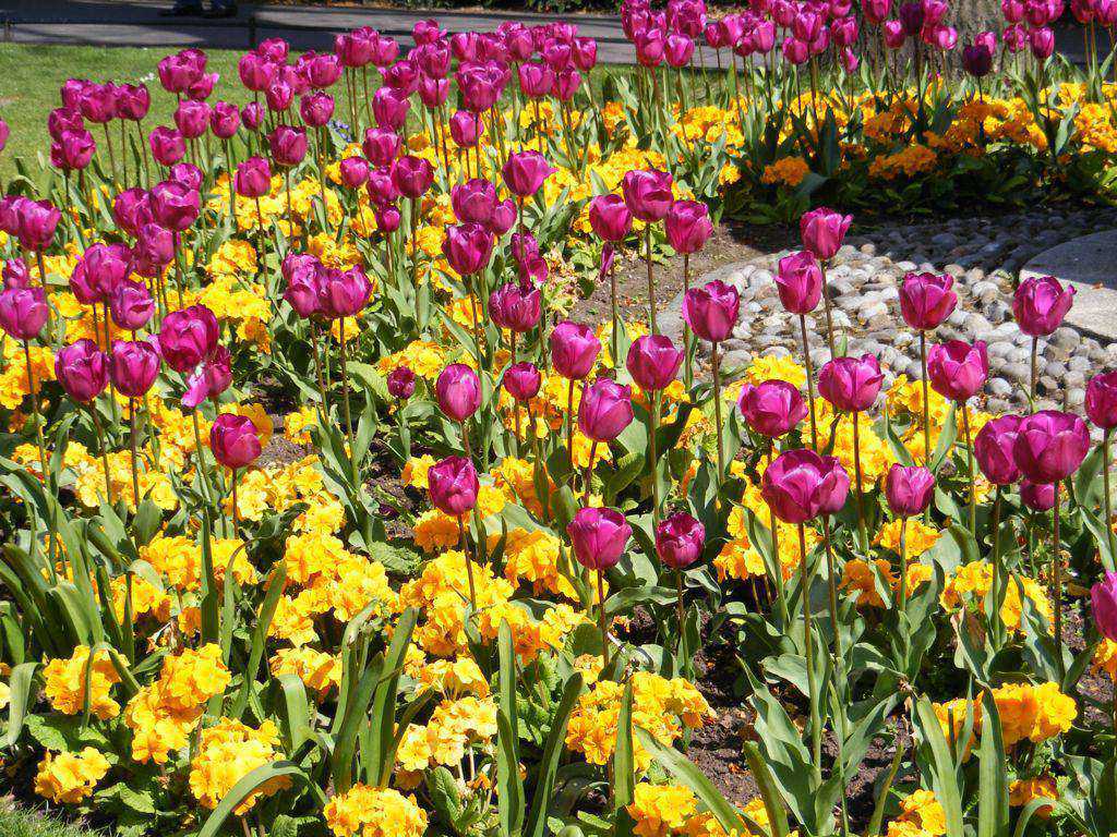 Foto de Dublín, Irlanda