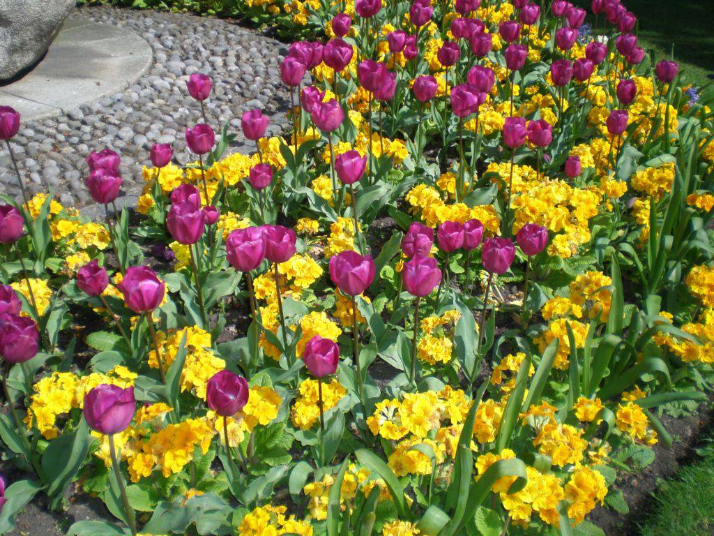 Foto de Dublín, Irlanda