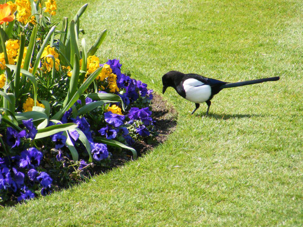 Foto de Dublín, Irlanda