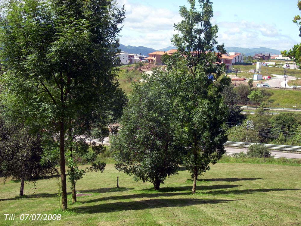 Foto de Oviedo (Asturias), España