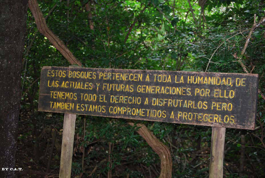 Foto de Guanacaste, Costa Rica