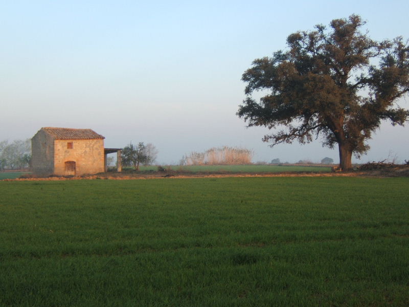 Foto de Castelldans (Lleida), España