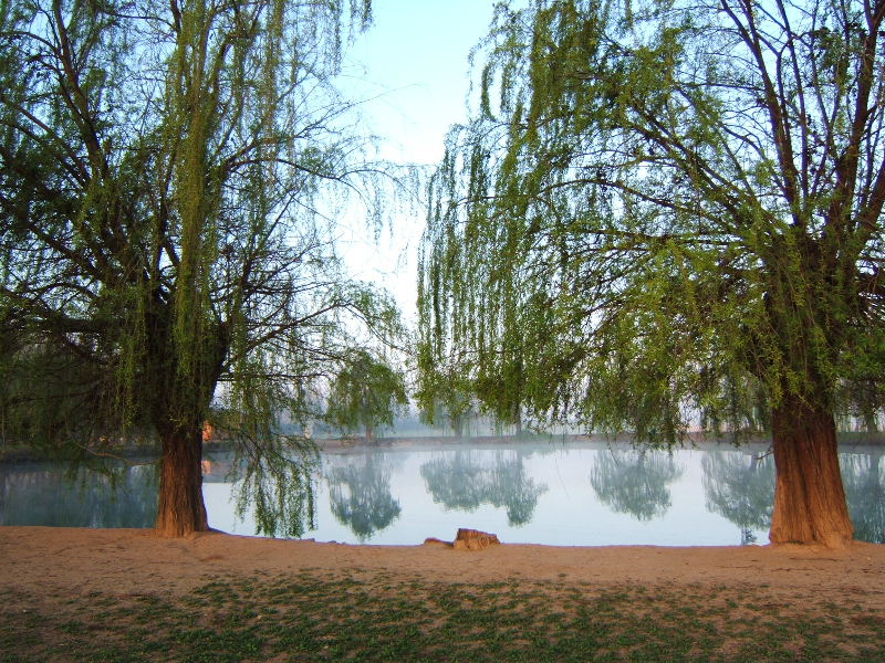 Foto de Juneda (Lleida), España