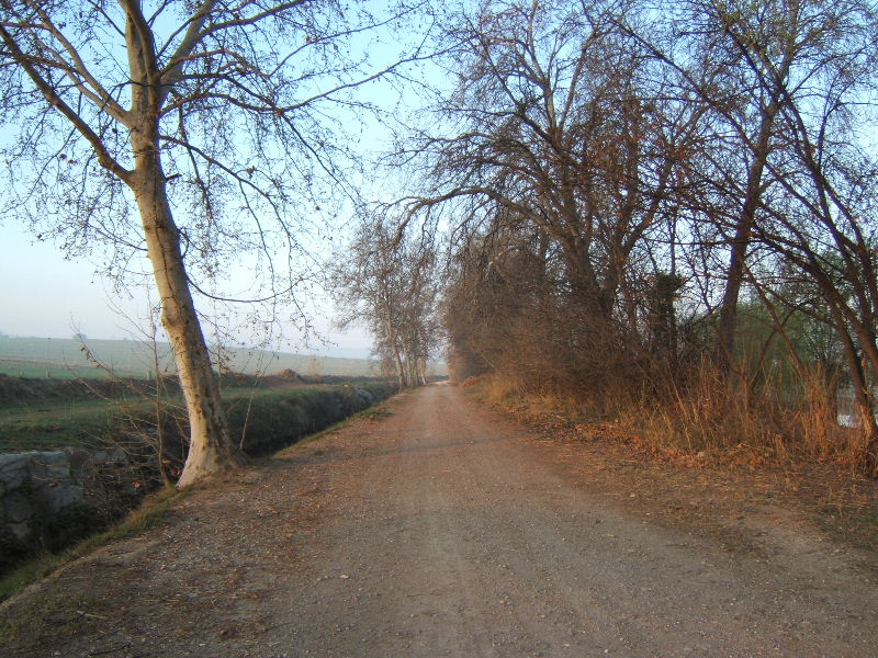 Foto de Juneda (Lleida), España