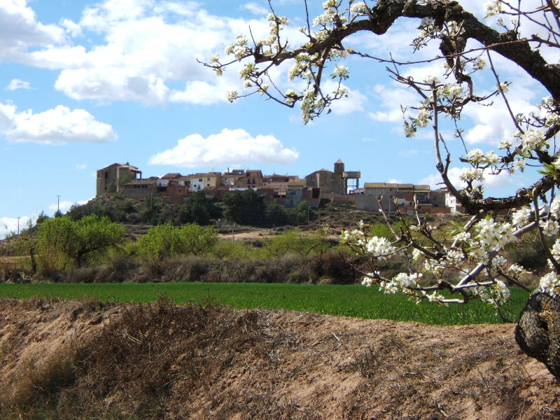 Foto de Puiggros (Lleida), España