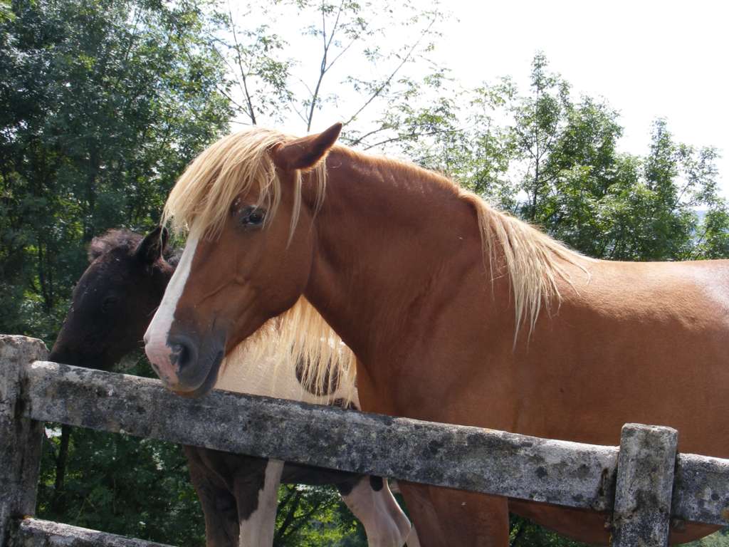 Foto de Arantzazu (Gipuzkoa), España