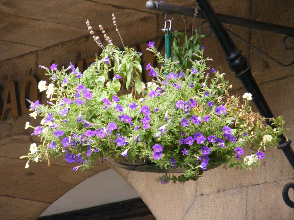 Foto de Oñati (Gipuzkoa), España