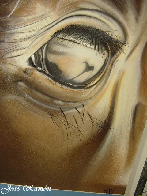 Foto de Jerez de la Frontera (Cádiz), España