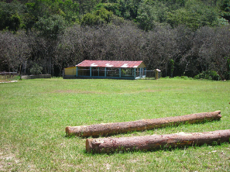 Foto de Manacla, República Dominicana
