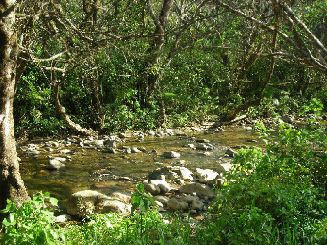 Foto de Manacla, República Dominicana