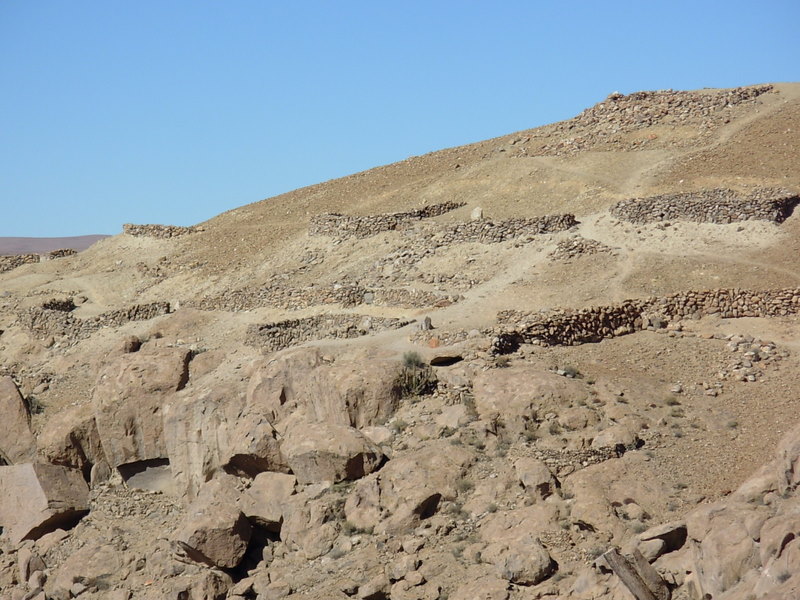 Foto de Arica, Chile