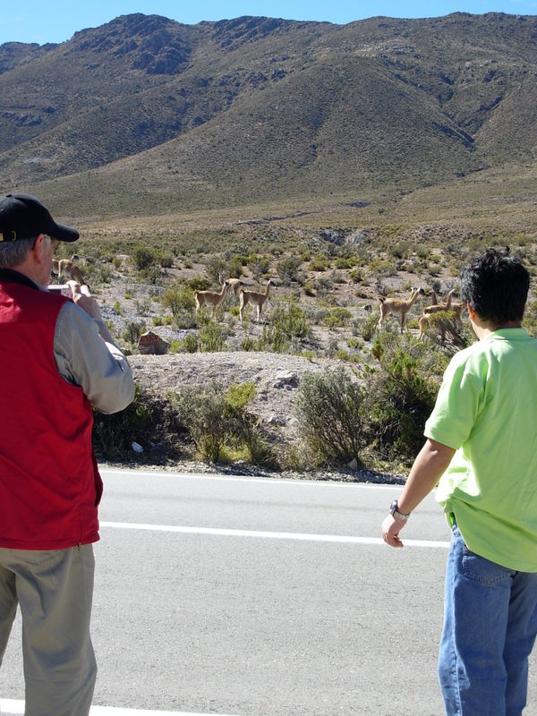 Foto de Arica, Chile