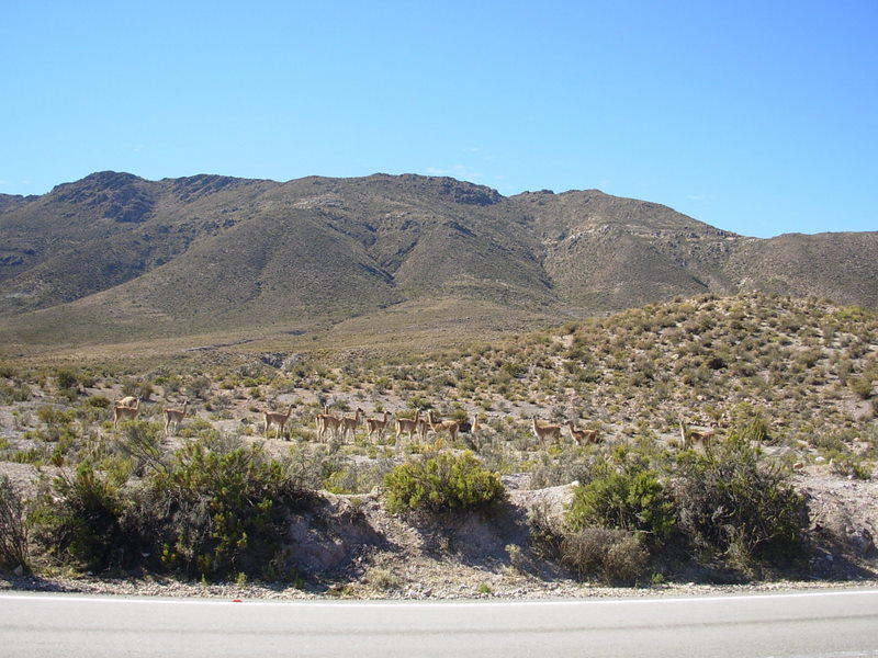 Foto de Arica, Chile