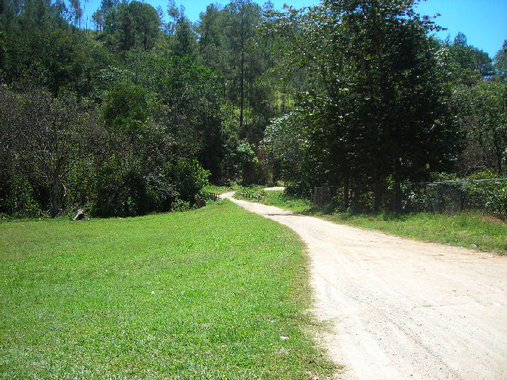 Foto de Manacla, República Dominicana