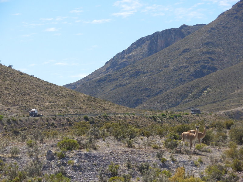 Foto de Arica, Chile