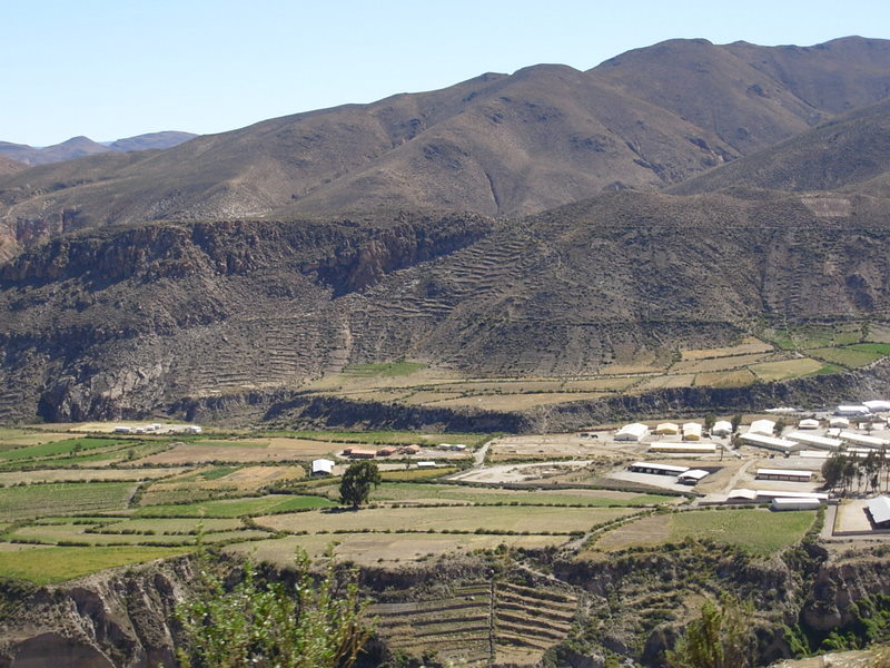 Foto de Arica, Chile