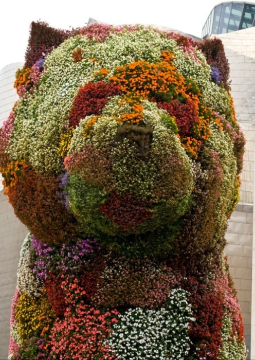 Foto de Bilbao (Vizcaya), España