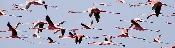 Foto de Maracaibo, Venezuela
