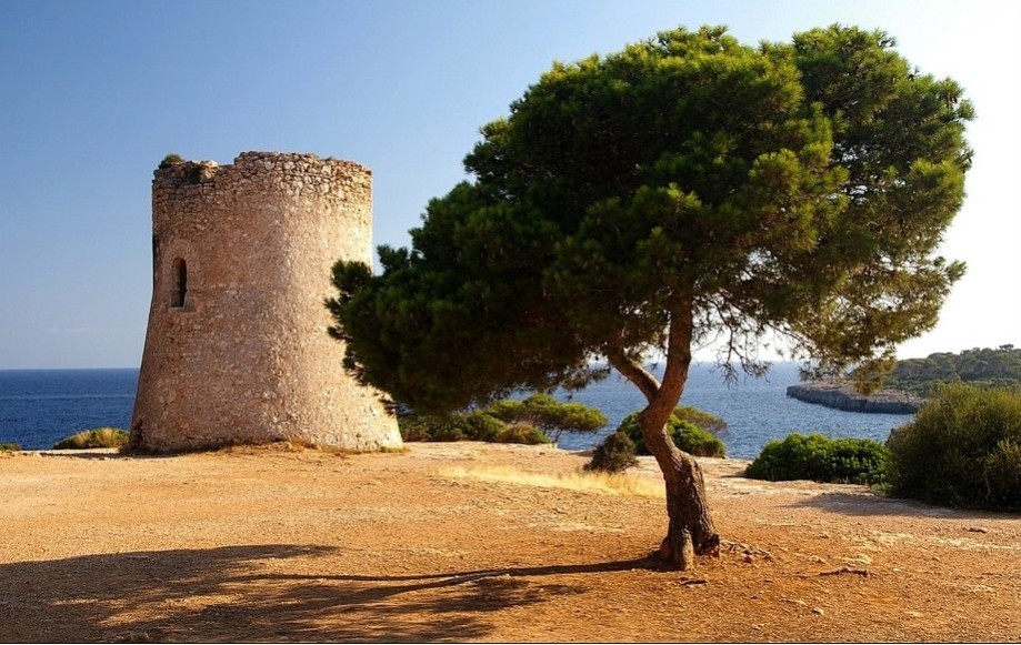 Foto de Mallorca (Illes Balears), España