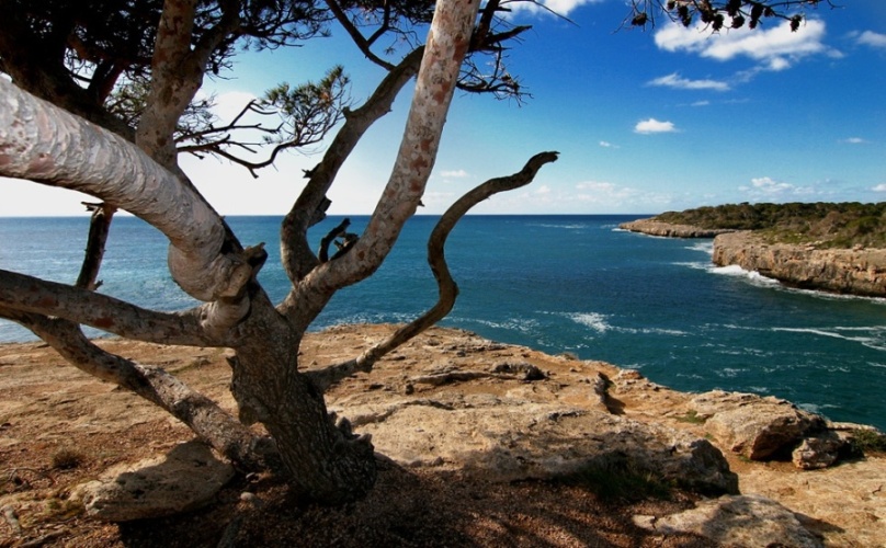 Foto de Mallorca (Illes Balears), España